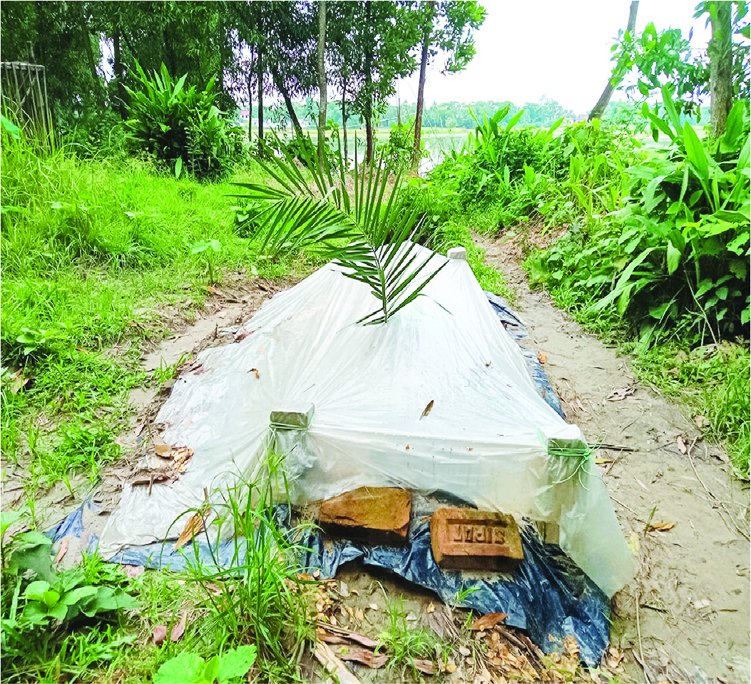 Image of ইমাম হাসান তায়িম ভূঁইয়া